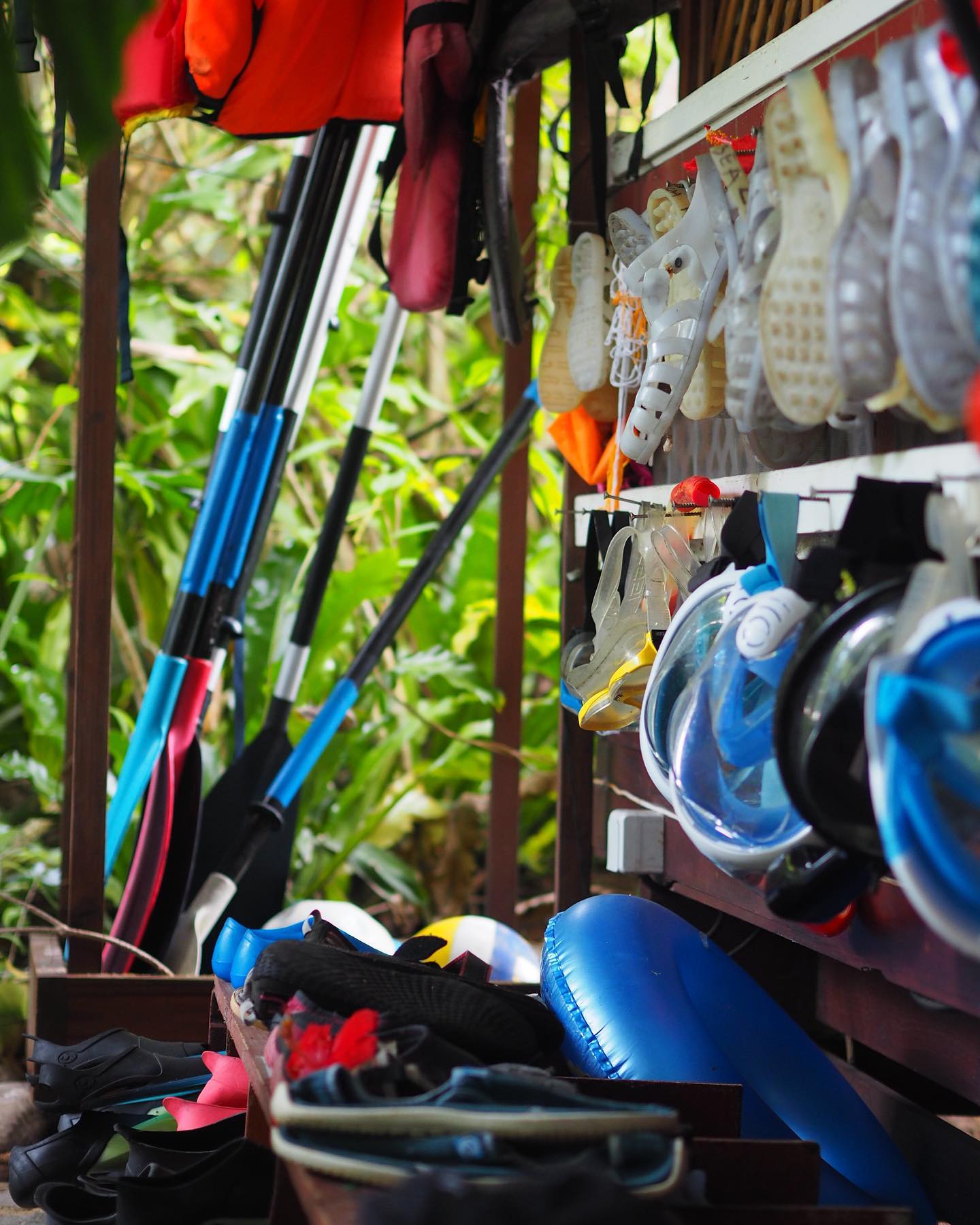Équipement de snorkeling disponible à la réception